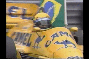 Excited Formula 1 GIF by Ayrton Senna