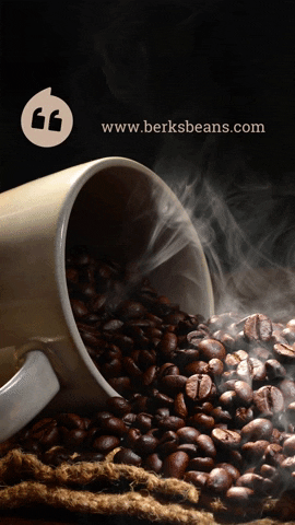 Good Morning Lol GIF by Berk's Beans Coffee