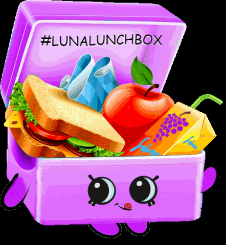 schoollunchideas lunalunchbox GIF by The Family Fudge