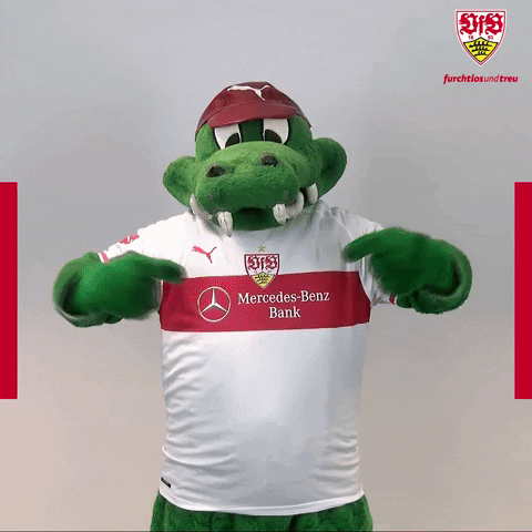 Bundesliga Fritzle GIF by VfB Stuttgart
