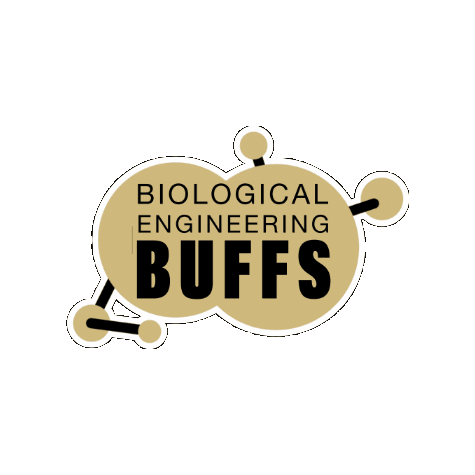 CU Engineering Sticker