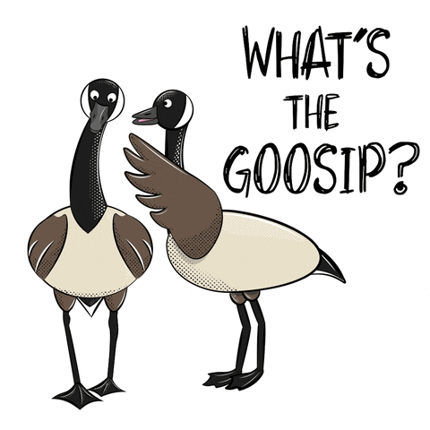 The Goose Bird GIF by Bare Tree Media