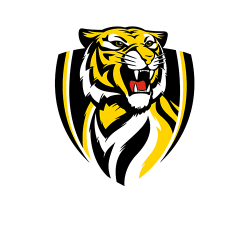 Https Encrypted Tbn0 Gstatic Com Images Q Tbn 3aand9gcsjaesv5pfrzuyc2tqiz1roigpf1qqmq7n Yg Usqp Cau