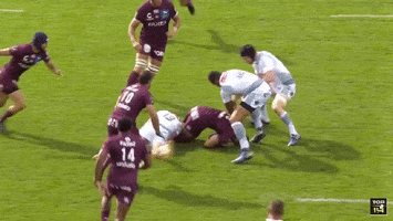 union bordeaux begles team GIF by UBB Rugby