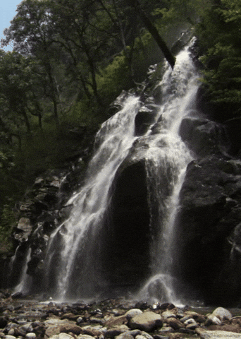 farcry primal waterfall gif farcry primal waterfall gif