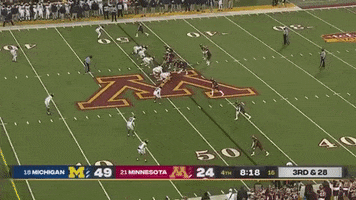 Michigan Football GIF