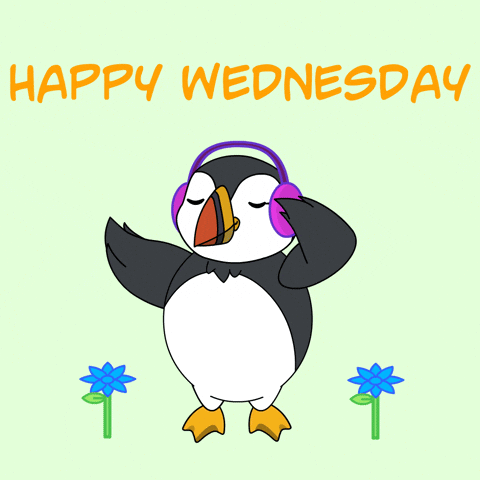 Wednesday Morning GIF by Puffins