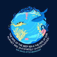 World Ocean Day Gifs Get The Best Gif On Giphy World Ocean Day Gifs Get The Best Gif On Giphy