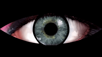 Katy Perry Eyes GIF by Penguin Oasis