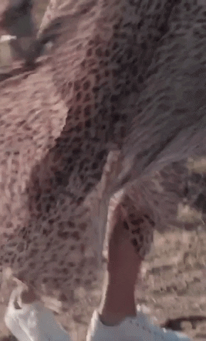 GIF by Lover