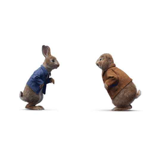 Peterrabbitlapelicula Hasidopeter Sticker by Sony Pictures España