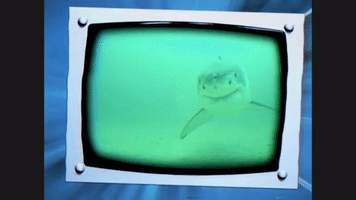 Discovery Channel Swimming GIF by Discovery Europe