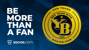 Bsc Young Boys GIF by Socios