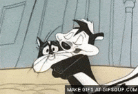Pepe Le Pew Gifs Get The Best Gif On Giphy
