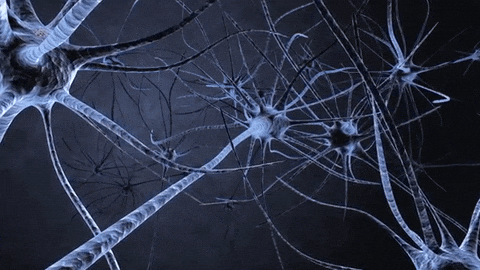 gif used in post