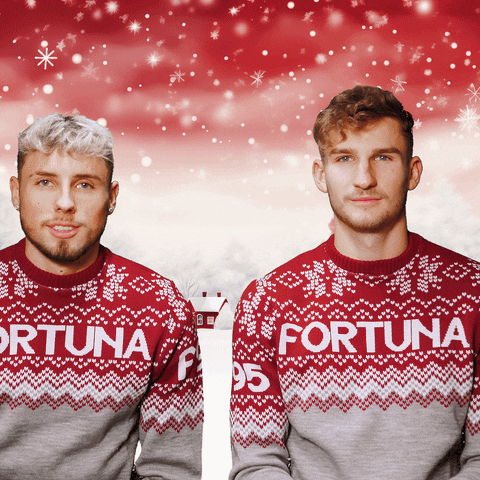 Happy Christmas GIF by Fortuna Düsseldorf