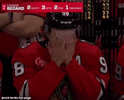 Sad Hockey GIF