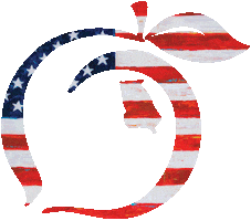 American Usa Sticker by Peach State Pride