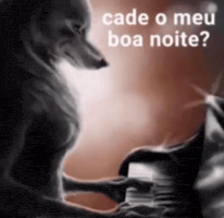 Boa Noite Lobo GIF