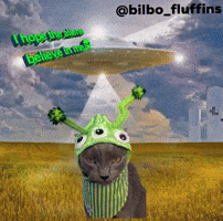 Bilbofluffins GIF