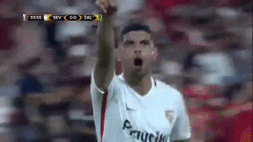 celebration goal GIF by Sevilla Fútbol Club