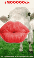 stuff big kiss GIF