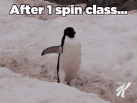 Spin-class GIFs - Get the best GIF on GIPHY
