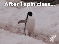 Spin-class GIFs - Get the best GIF on GIPHY Spin-class GIFs - Get the best GIF on GIPHY