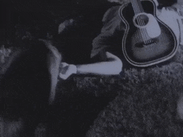 music video dogs GIF by Chris Isaak