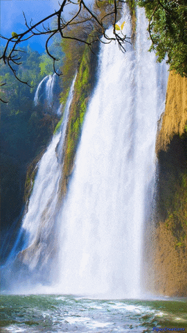 Pipercreations Nature Scenery Travel Waterfalls Trees Leaves Branches Water Cliff GIF by PiperCreations
