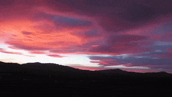 California Gif Find Share On Giphy