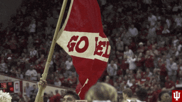 College Sports Flag GIF by Indiana Hoosiers