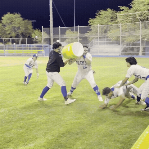Brawleyunion GIF by brawleywildcat