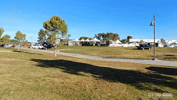 dodge charger GIF by Off The Jacks dodge charger GIF by Off The Jacks