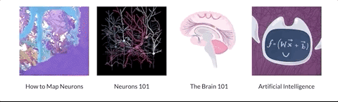 Neuroscience Neurons GIF
