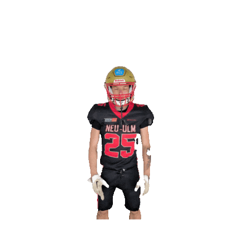 Neu Ulm Football Sticker by neu-ulm-spartans
