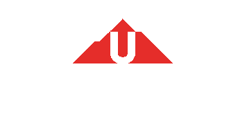 UPTHRUST Sticker