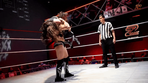 Wrestling GIF