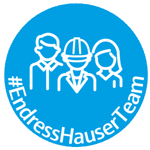 Endress+Hauser Group Sticker