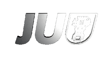 Ju Sauerland Sticker by Junge Union Menden