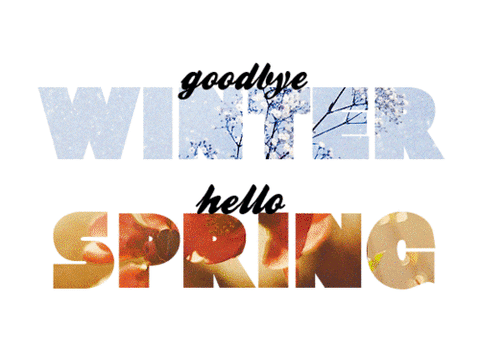 Goodbye winter Hello spring 