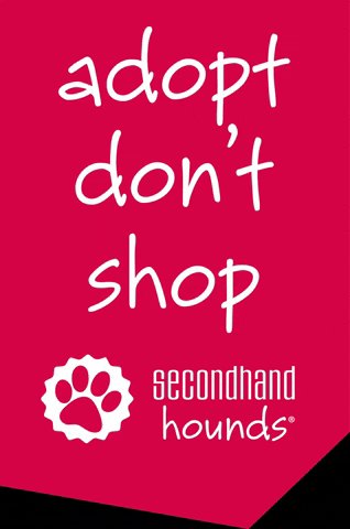 Secondhand Hounds GIF