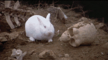 [Image: 200.gif]