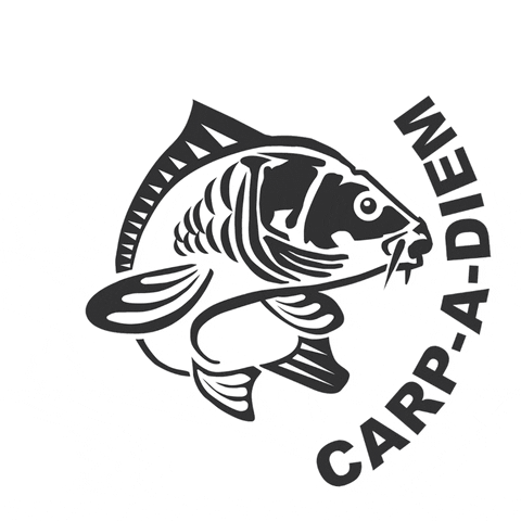 BigFishOn GIF