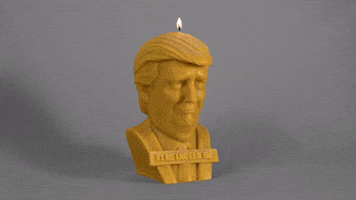 Donald Trump Wow GIF by ADWEEK