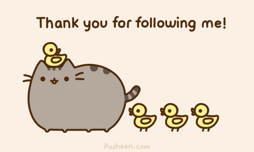 Cuantos seguidores tienes