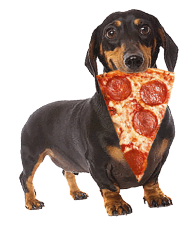 dog pizza Sticker by beangoods