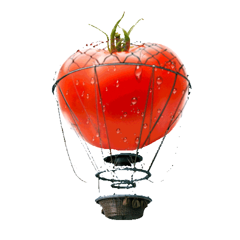 Ketchup Mundokerns Sticker by TBWA Guatemala