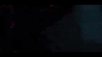 Fun Party GIF by Grupo Mandala Mexico