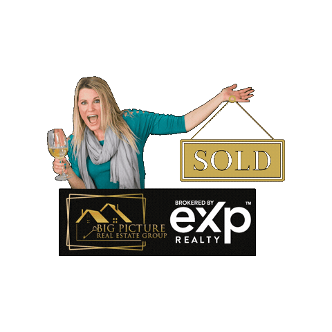 Big Picture Exp Realty Sticker by Big Picture Real Estate Group